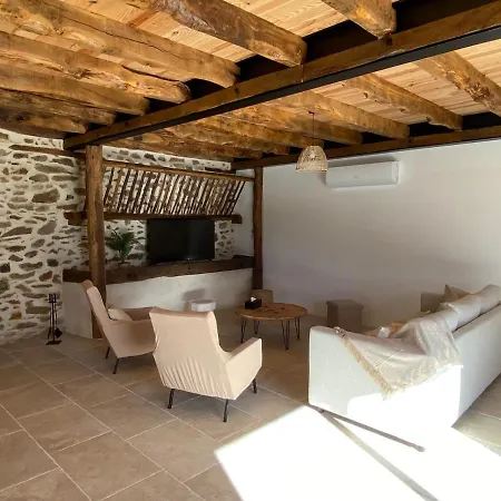 Terre De Vigne, Proche De Cordes-sur-ciel
