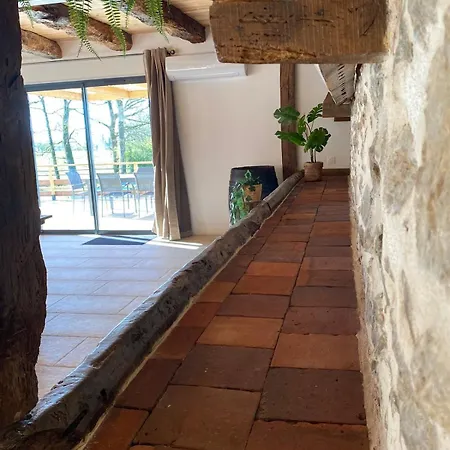 Terre De Vigne, Proche De Cordes-sur-ciel